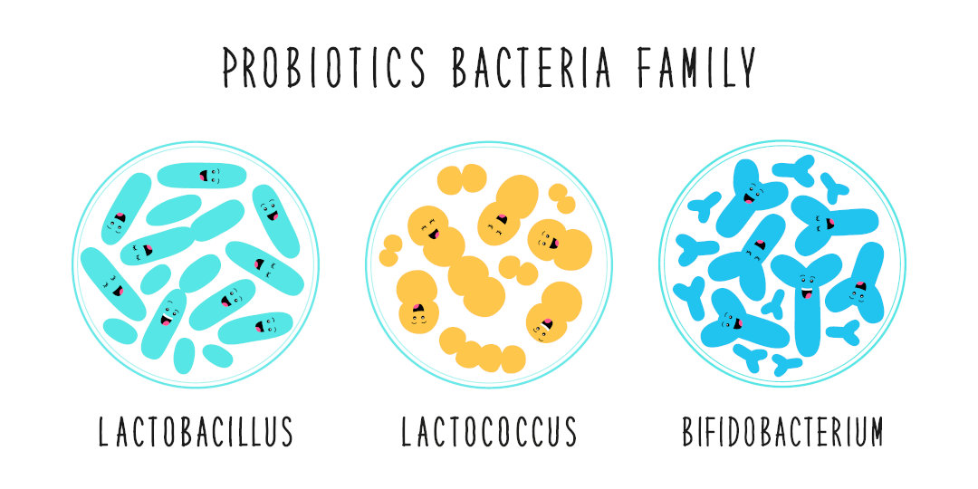 probiotics